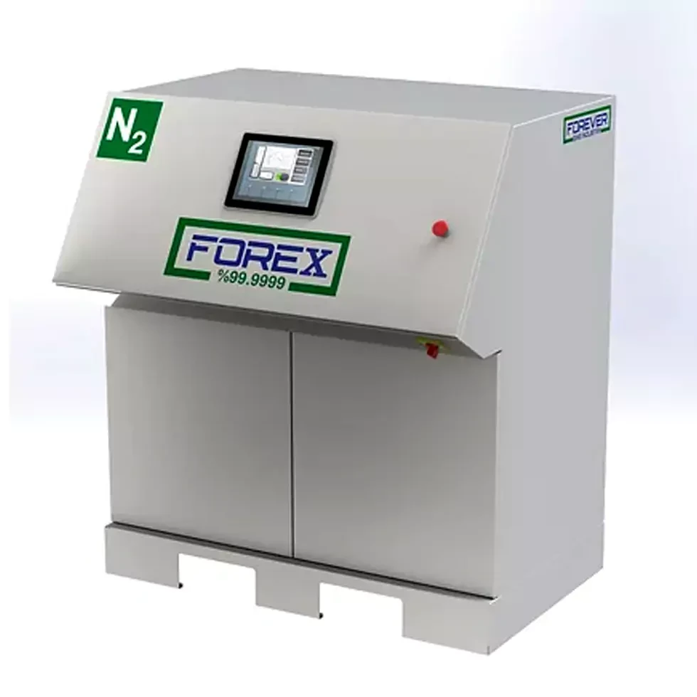 Deoxo Purifier.